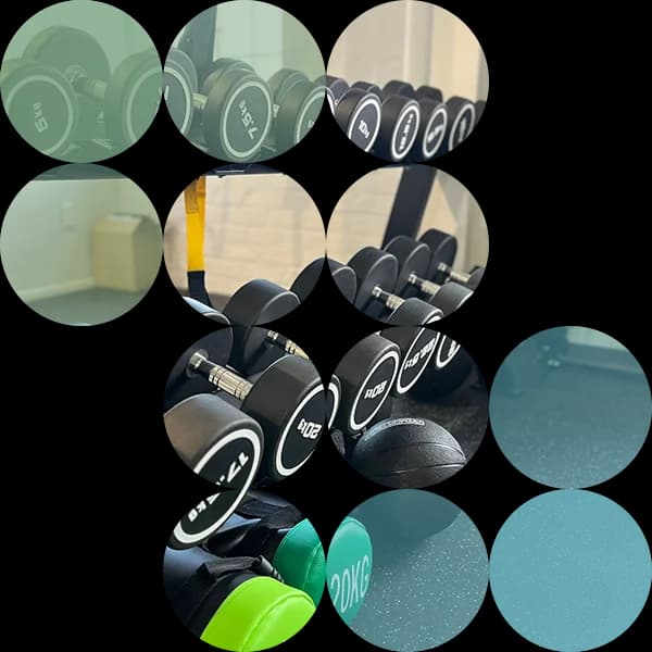 Auckland Physiotherapy additional view