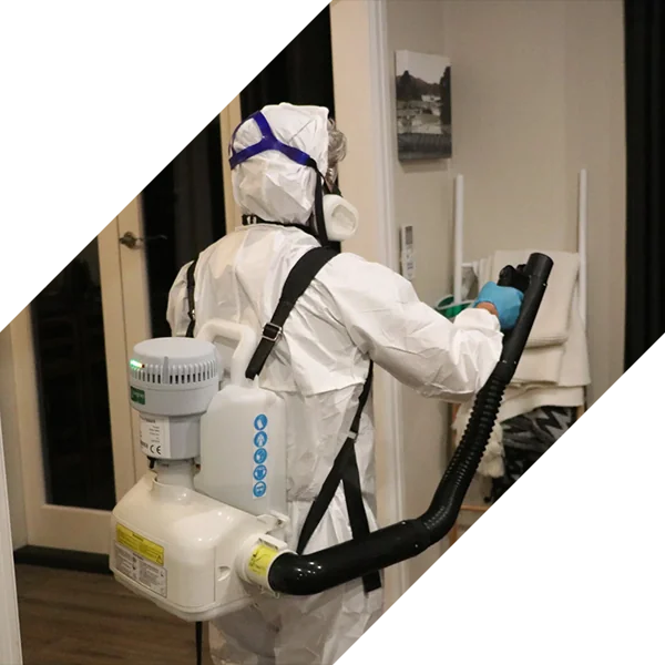 Direct Pest Control, Pest Control Services